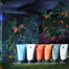 The Recharge Spa